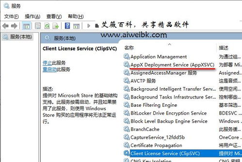 組件服務計算機卡死？解析wsappx進程占用系統資源過多導致電腦卡死的解決方法
