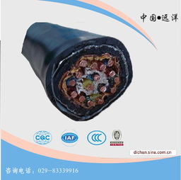 西安電線電纜廠 計(jì)算機(jī)電纜與控制電纜價(jià)格解析及高清大圖鑒賞